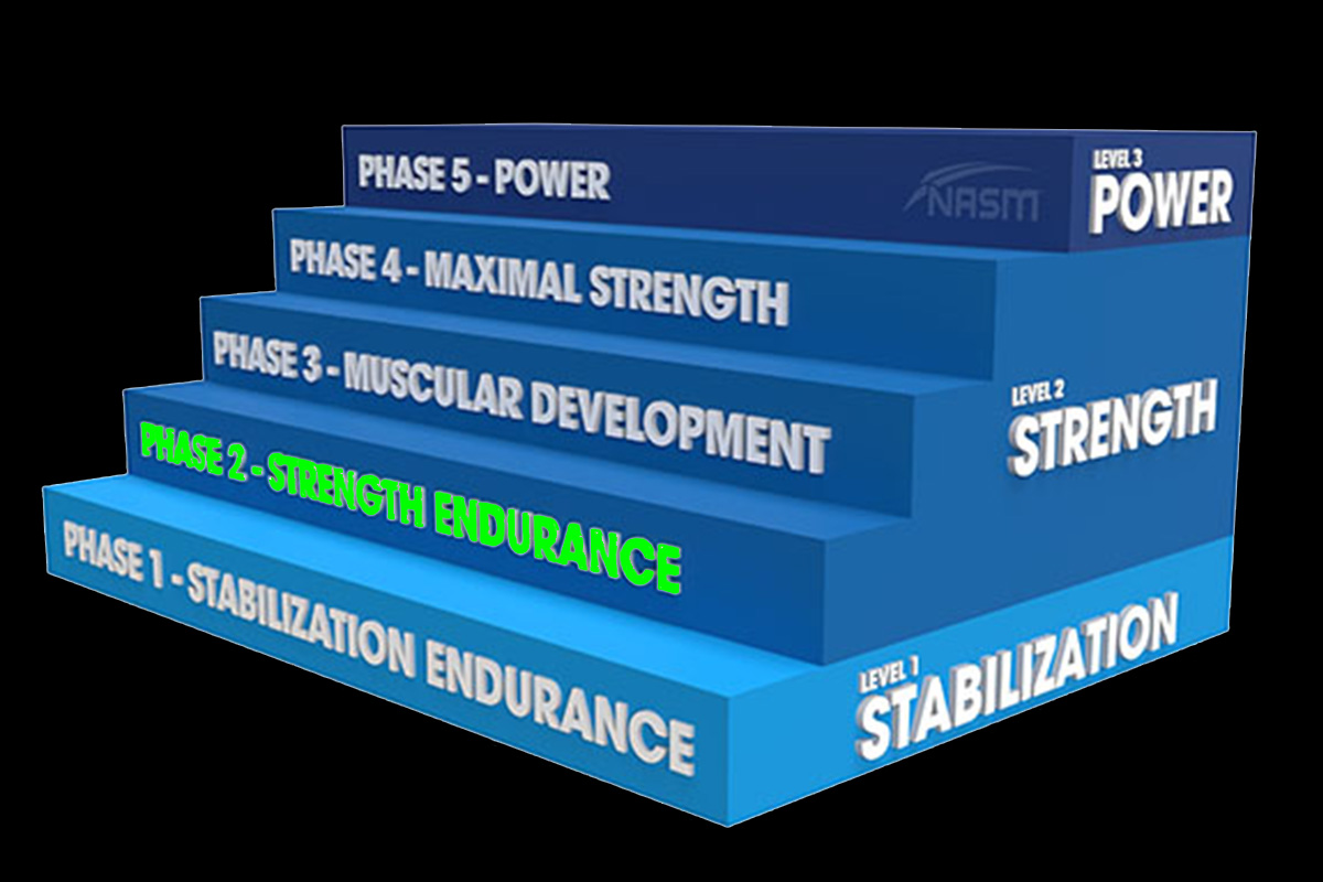 Phase 2 of the NASM pyramid: Strength endurance